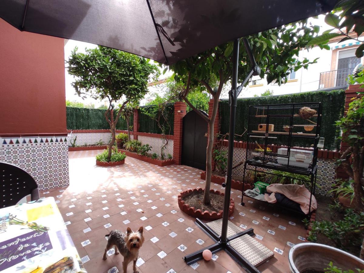 Villa Patricia Málaga Exteriör bild